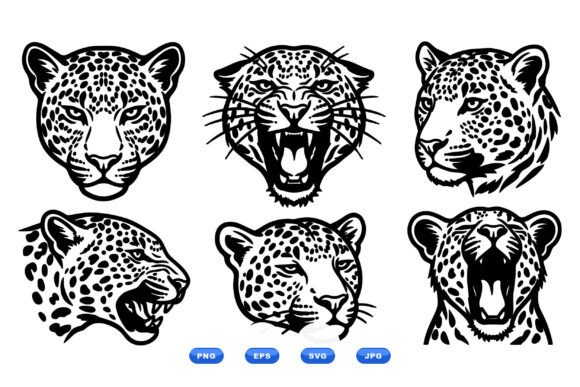 Leopard Head Vector Illustrations